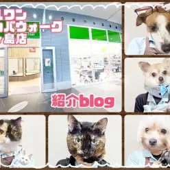 【 ワカバウォーク鶴ヶ島店 】アクセス良好！つい通っちゃうショップ&スタッフ紹介