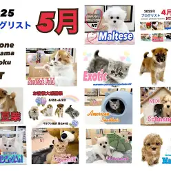 【 ブログリスト 】マルワン港北NT店5月のブログ記事まとめ