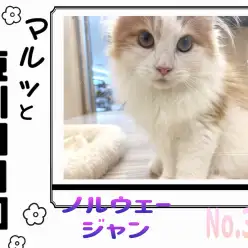 【 マルっと東川口日和No.37 】ノルくんの毎日ルーティンに密着！