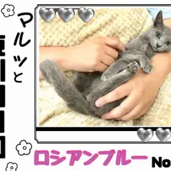 【 マルっと東川口日和No.26 】抱っこ好きなロシちゃんはお手入れだって得意！