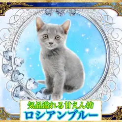 【 ロシアンブルー 】お話上手・遊び上手の甘えん坊プリンス