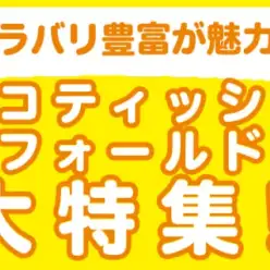 【 スコティッシュフォールド 】7/24現在在店中の垂れ耳代表！最新動画は必見！