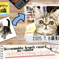 【 エキゾチック 】 城山っ子成長報告！2025年7月9日
