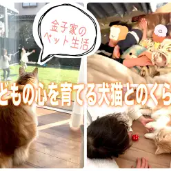 【 子育て家庭のペット生活 】子どもの心を育てる犬猫との暮らし!