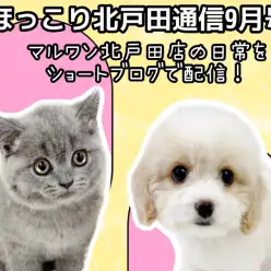 【 ほっこり北戸田通信集 9月号 】日々の日常をマルっとまとめました！