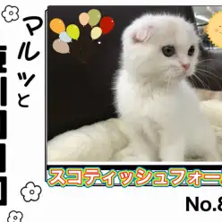 【 マルっと東川口日和No.81 】食欲・元気オールパーフェクトなスコちゃん！