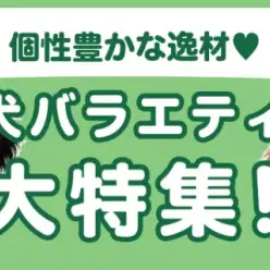 【 犬バラエティ特集 】9/4現在在店中の個性豊かな逸材!最新の動画は必見!