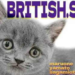 【 ブリティッシュショートヘア 】癒しと賢さを持ち合わせた理想のパートナー!