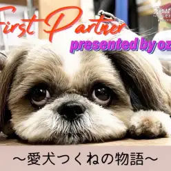 【 ファーストパートナー 】マルワン相模大塚店スタッフ尾崎の愛犬物語！