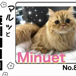 【 マルっと東川口日和No.86 】愛嬌たっぷりなミヌちゃんの姿を大公開！