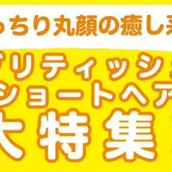 【 ブリティッシュショートヘア特集 】10/16現在在店中の丸顔癒し系にゃんこ！