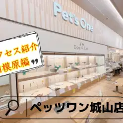 【 ペッツワン城山店 】アクセス紹介!相模原編