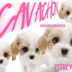 【 MIX 】半端ない可愛さ!整ったお顔とエアリー感満載のキャバション登場!