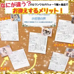 【 何が違う？ここが違う！ 】ワカバウォーク鶴ヶ島店でお迎えするメリット