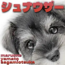 【 ミニチュアシュナウザー 】賢く愛らしいモノクロの最高のパートナーが大和市に！