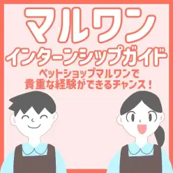 【 インターンシップ募集 】マルワンの次世代を担う熱い人材を求めています