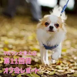 【 オフ会 】過去最多の参加頭数33頭！！11回目のオフ会レポ！