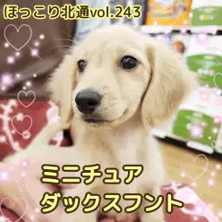 【 ほっこり北通vol.243 】おっとりダッちゃんシャンプーも余裕でクリア！