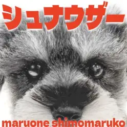 【 シュナウザー 】あどけない可愛さに注目！甘え上手なソルト＆ペッパーの女の子！