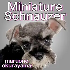【シュナウザー】誰もが羨む理想的なボディバランスのペッパーガール!