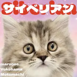 【 サイベリアン 】可愛い優しい癒しの子！サイベちゃんが横浜元町店に登場です！