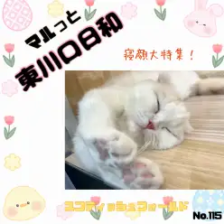 【 マルッと東川口日和No.115 】スコちゃんの成長を寝顔と共に振り返ろう!