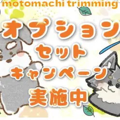 【 トリミングサロン 】お得なオプションキャンペーン実施中!!!【 横浜元町店 】