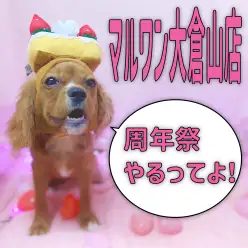 【 周年祭イベント 】13歳になる大倉山店を一緒にお祝いしよう！！