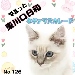 【 マルっと東川口日和No.126 】王子の風格を纏ったネヴァちゃんの素敵な表情