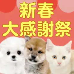 【 お年玉企画 】HAPPY NEW YEAR2026！新春大感謝祭のお知らせ！