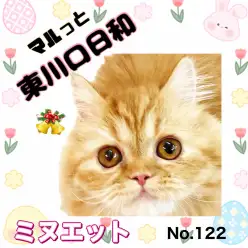 【 マルっと東川口日和No.122 】広々デビュー!ミヌちゃんが新ステージで魅力爆発