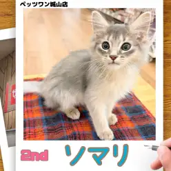 【 ソマリ 】城山っ子成長報告！2026年1月19日