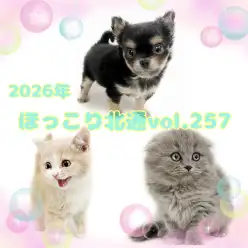 【 ほっこり北通vol.257 】 謹賀新年！2026年も宜しくお願い致します！