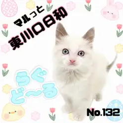 【 マルっと東川口日和No.132 】人気の秘密に迫る！激かわラグちゃんをご紹介