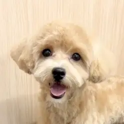 【 プーマル 】城山っ子成長報告！2026年2月27日