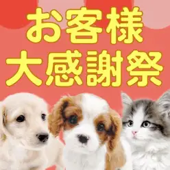 【 お客様大感謝祭 】もうすぐ春なので新生活プレゼント企画スタート！