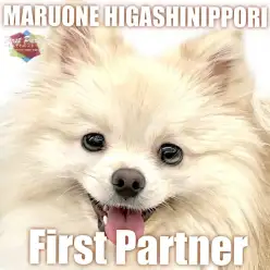 【 ファーストパートナー 】マルワン東日暮里店スタッフ比嘉の1番の推しをご紹介！