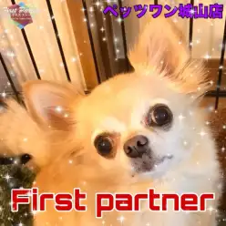 【 ファーストパートナー 】ペッツワン城山店スタッフ加藤木の愛犬物語！
