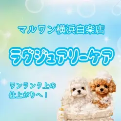 【 白楽店トリミング 】期間限定オプションのラグジュアリーケア！