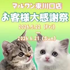 【 お客様大感謝祭 】東川口店に在店中のネコちゃん達をご紹介!