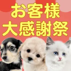 【 お客様大感謝祭 】ペットを迎える絶好のチャンス到来！マルワンからプレゼント企画！