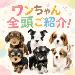 【 お知らせ 】お客様大感謝祭開催！マルワン板橋志村坂下店のワンちゃんをご紹介！