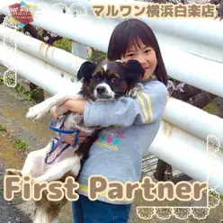 【 ファーストパートナー 】マルワン横浜白楽店スタッフ若林の愛犬物語！