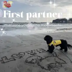 【 ファーストパートナー 】マルワン横浜元町店藤田の愛犬物語！