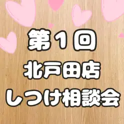 【 第1回目しつけ相談会レポート 】生後4ヶ月限定！子犬のしつけ相談会開催！