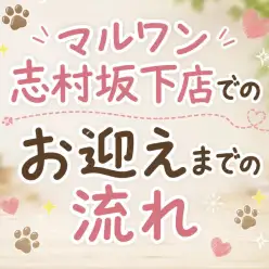 【 お迎えまでの流れ 】マルワン志村坂下店で始まる新生活をご紹介いたします!