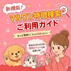 【 お知らせ 】子犬・子猫探しをもっと楽しく!新機能『マルワン特徴検索』が登場!