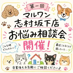 【 お悩み相談会 】第一回マルワン志村坂下店!お迎え後の相談会を開催しました!