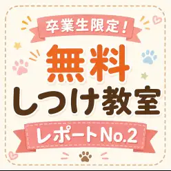 【 卒業生限定無料しつけ教室 】卒業生だけが受けられる特別レッスン!第二弾