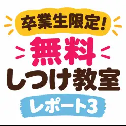 【 卒業生限定無料しつけ教室 】卒業生だけが受けられる特別レッスン！第三弾